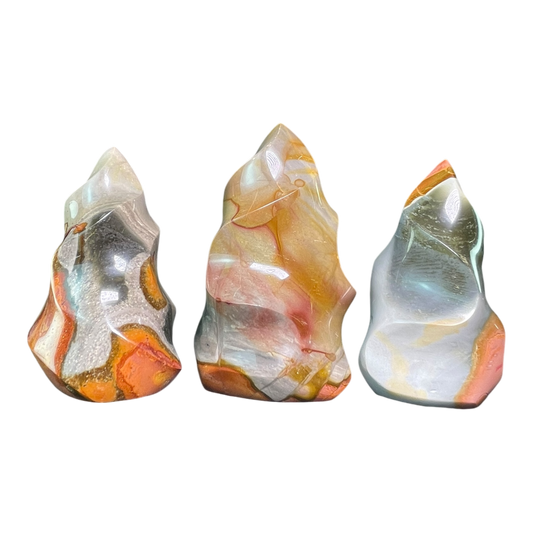 Polychrome Jasper Fame