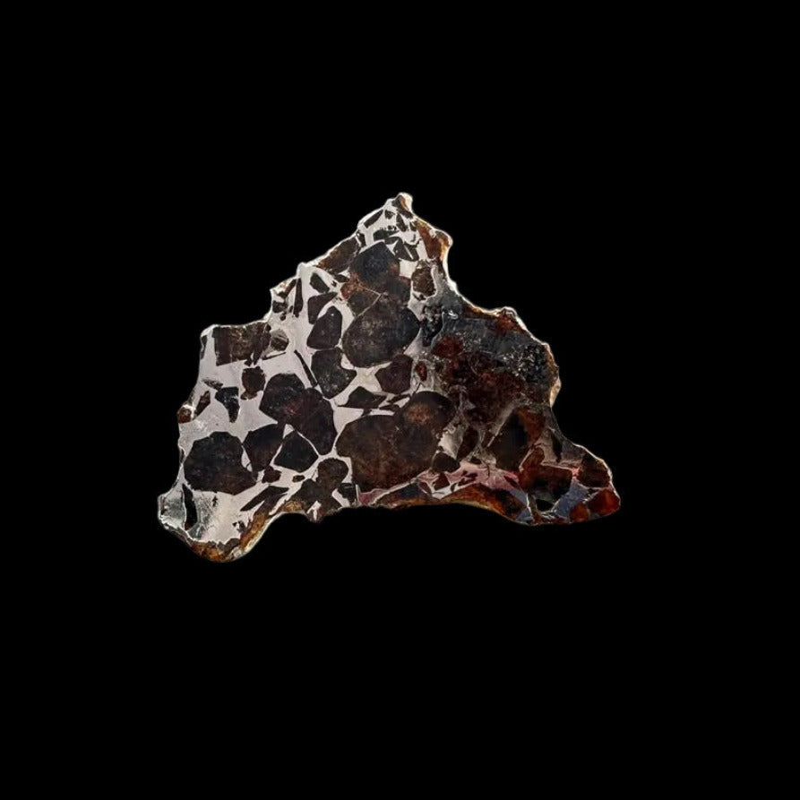 Seymchan Pallasite