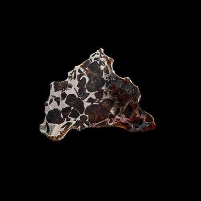 Seymchan Pallasite
