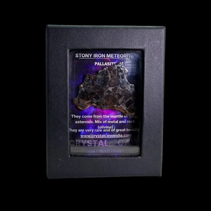 Seymchan Pallasite
