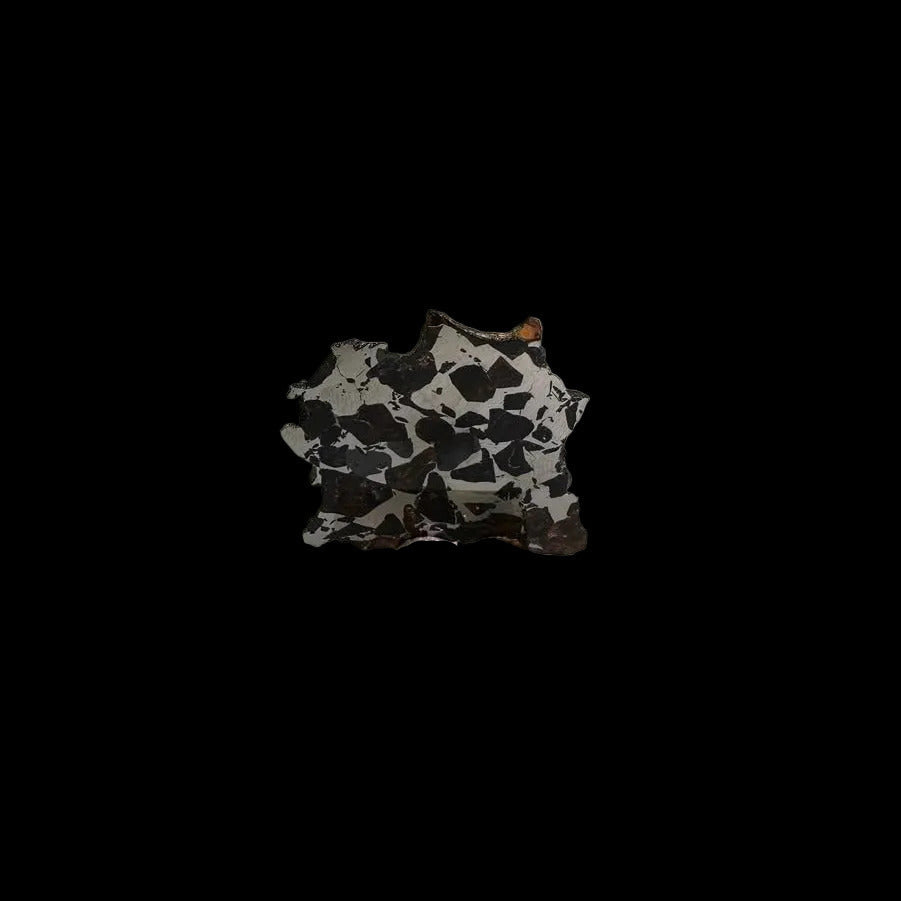 Seymchan Pallasite