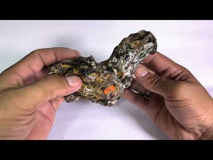 Amber (Copal)