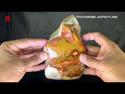 Polychrome Jasper Fame