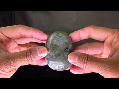 Labradorite Palm (6Pcs)