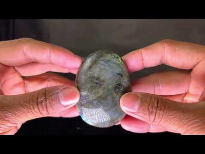 Labradorite Palm (5Pcs)