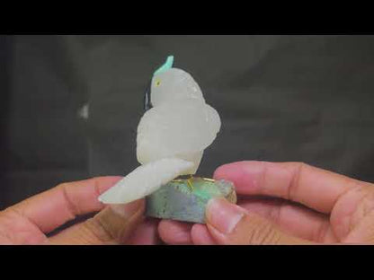 Cockatoo Birds Carving