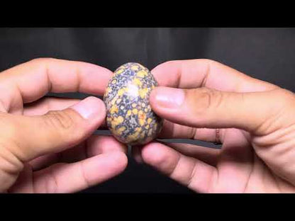Cobra Jasper Egg