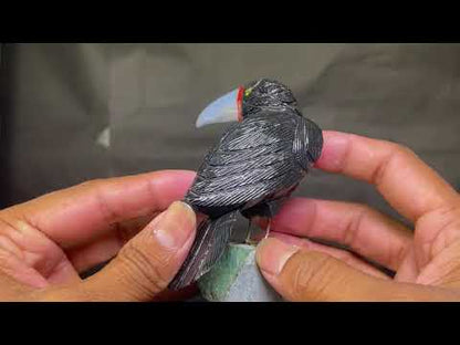 Toucan Birds Carving