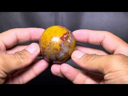 Cobra Spotted Jasper
