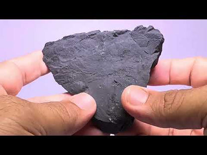 Shungite