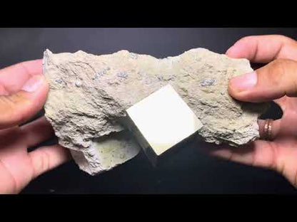 Cubic Pyrite