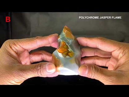 Polychrome Jasper Fame