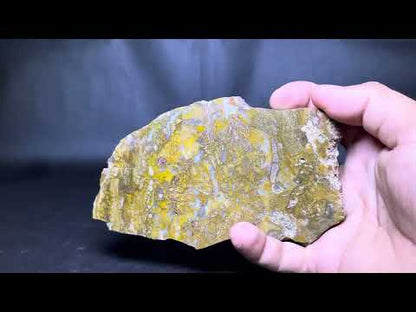 Petrified Wood Plate