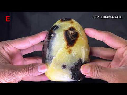 Septerian Agate