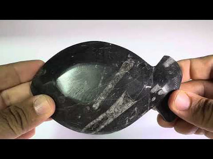 Ammonite Polished Dish