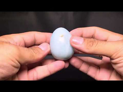 Amazonite Egg