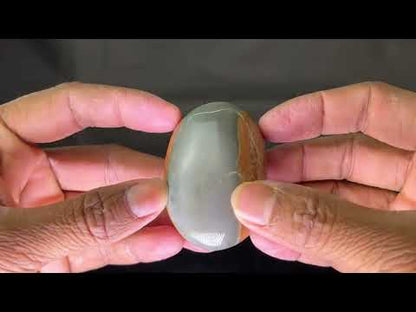 Polychrome  Jasper  Palm (5Pcs)