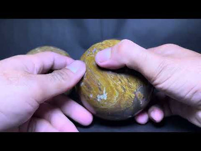 Petrified Wood Sphere (2pc/ Set)