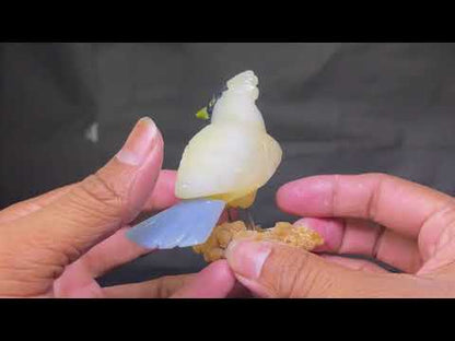 Hoopoe Birds Carving