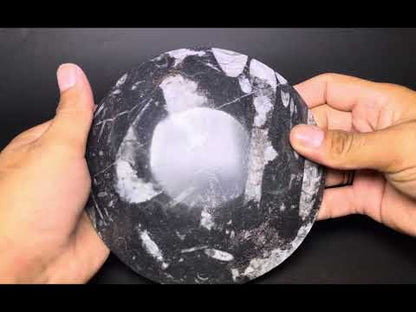 Fossilized Plate